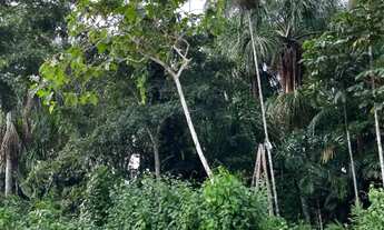 Imagem 2: Condominio fechado de lotes ao lado da Coca Cola