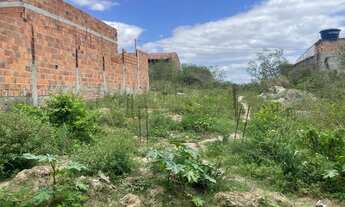 Imagem: Vendo terreno viveiros