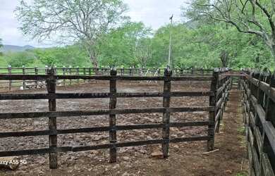 Imagem 7: Belíssima fazenda de aproximadas, 429 t, sede, curral, aguadas, rio, riacho, energia plana