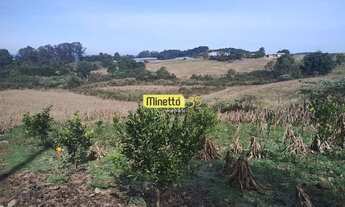 Imagem: VENDA - ÁREA RURAL COM 2,5 HECTARES SANTA