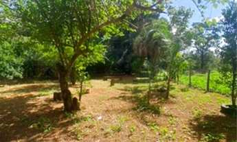 Imagem 3: Chácara a Venda em Anápolis