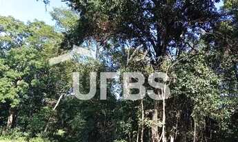 Imagem 2: Oportunidade de chacará com mata exuberante