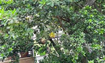 Imagem 4: Imóvel para venda com 161 metros quadrados com 3 quartos