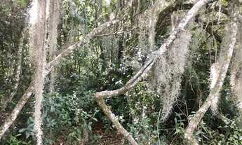 Imagem 7: Lote em condomínio em Rua Almirante Barroso - Recanto Corcunda - Gravataí/RS