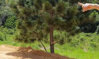 Imagem 6: Oportunidade de Loteamento em São Roque Ideal para Sua Casa de Férias ou Airbnb