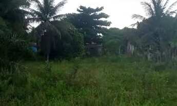 Imagem 2: Vende-se terreno 18x100