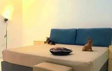 Imagem 4: Casa Top à venda São José sc