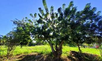 Imagem 2: Lote de Chácara 1.500m2 - Cond Residencial Vale dos Sonhos