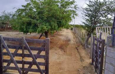 Imagem 3: Linda Chácara em Petrolina PE