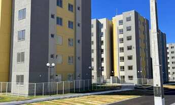 Imagem 4: Alugo Apartamento NOVO NUNCA HABITADO Direto com Proprietaria!