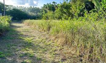 Imagem 6: Vendo ou troco chácara