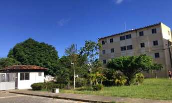 Imagem 2: Parque dos manguezais 3/4