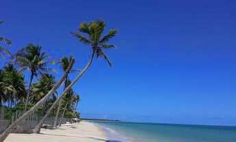 Imagem 6: Aluguel Casa com 2 dormitórios