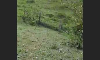 Imagem 3: Sitio De 6 hectares no bairro jacupema eldorado