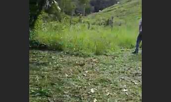 Imagem 2: Sitio De 6 hectares no bairro jacupema eldorado