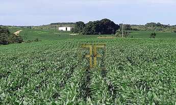 Imagem 2: Fazenda 231 Alqueires, Dois Irmãos do Tocantins, TO