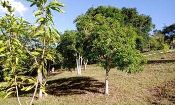 Imagem 2: Sítio para venda em Porangaba com 31.600 m2, com casa e 01 pequeno tanque