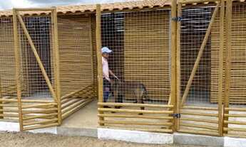 Imagem 7: Fazenda top com 98 hectares na região de São Paulo do Potengi
