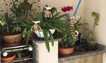 Imagem: Apartamento - Vila Sanches - Residencial