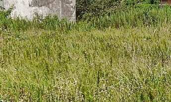 Imagem: Terreno pé na areia bem grande, muito próximo