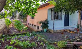 Imagem 6: DOIS IRMÃOS - Terreno Padrão - Industrial