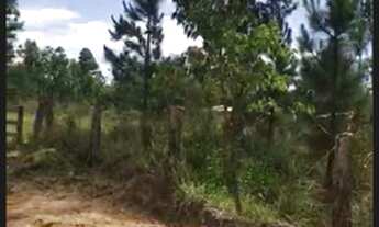 Imagem 5: Terreno enorme Chácara com venda por R$35.000