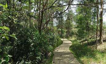 Imagem 3: Terreno à venda, 553 m² por R$ 470.407,00 - Granja Viana - Cotia/SP