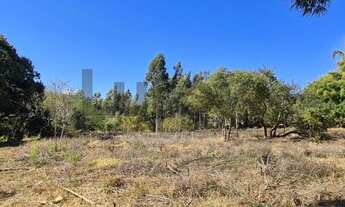 Imagem 3: área - Sítio Recreio dos Cafezais - Valinhos