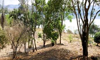 Imagem 7: Rancho em Uberlândia - MG com 7.215 m²