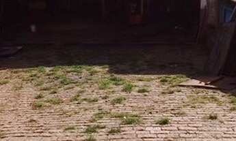 Imagem 4: Galpão - Jardim Galetto