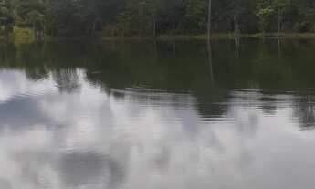 Imagem 3: Fazenda 238 alqueires Municio de Itapuranga GO