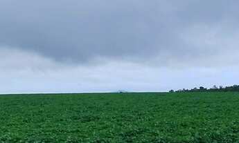 Imagem 7: Venda Fazenda em Nobres, 800 hectares + casa de funcionário e sede + barracão + poço artes