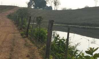 Imagem 2: Fazenda - venda com 375 HC a 35 km de Cuiabá