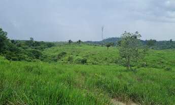Imagem 2: Fazenda com 390 alqueires para pecuária no sul do Pará