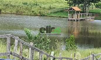 Imagem 4: Fazenda Dupla Aptidão - em CANA ARRENDADA, 154 Alqueires, à venda por R$ 25.020.000,00 - n