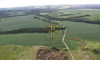 Imagem 5: Fazenda 90 Alqueires, Silvânia, GO