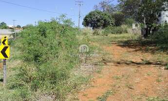 Imagem 6: Terreno Rod. Raposo Tavares Km 110,5