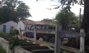 Imagem 7: Fazenda para pessoa de bom gosto 480 hectares encantadora