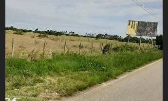 Imagem 6: ÁREAS 35.000 M² CAJUEIRO ESTRADA DO GALINHEIRO (PONTINHAS) SÃO JOÃO DA BARRA/RJ