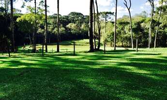 Imagem: Vende-se chácara Urbana 43.257 m² em