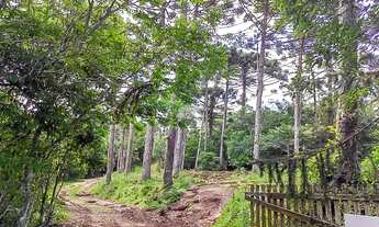 Imagem: Fazenda/Sítio/Chácara para venda com 20000