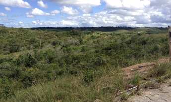 Imagem 2: Fazenda com 336 ta -Salgado