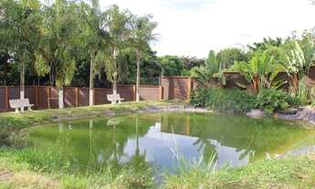 Imagem 5: Chácara Residencial à venda, Jardim dos Coqueiros II, Catanduva -