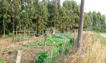 Imagem 2: BENTO GONçALVES - Terreno Padrão - Caminho da Eulália
