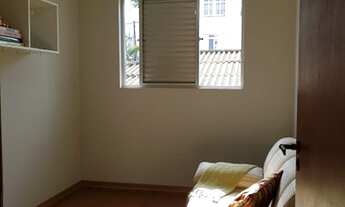 Imagem 6: FLORIANóPOLIS - Padrão - Coqueiros