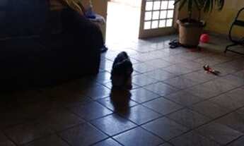 Imagem 6: Casa com 4 dormitórios à venda, 167 m² por R$ 220.000,00 - Conjunto José Vallim de Melo