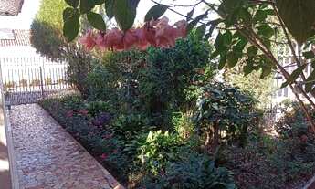 Imagem 5: Oportunidade no centro