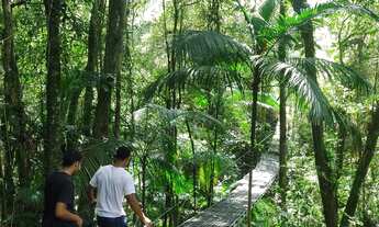 Imagem 5: 10 mil mts com inscidencia de fauna