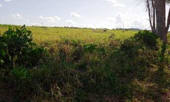 Imagem 7: FAZENDA À VENDA EM CONCEIÇÃO DO PARÁ - PA - 4.855 HECTARES (DUPLA APTIDÃO