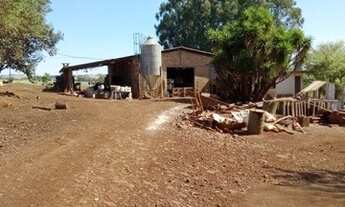 Imagem 2: 6 alq. na região sul de Cascavel